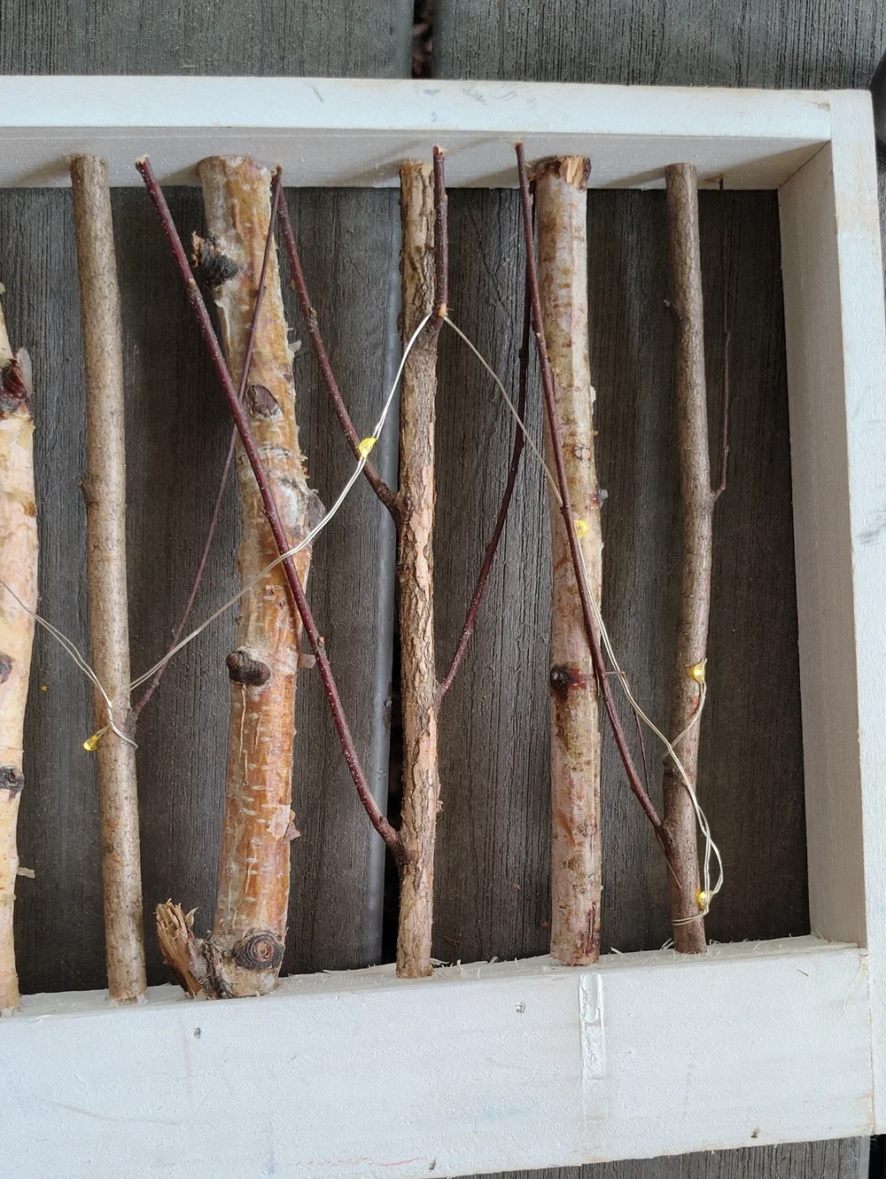 Rustic White Birch Branch Wall Hanging With Fairy Lights